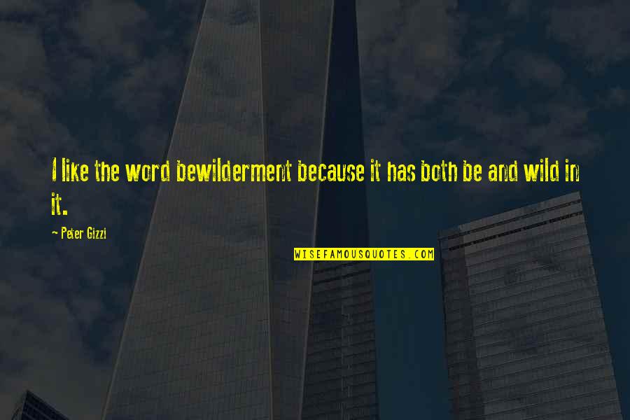 Kiome Quotes By Peter Gizzi: I like the word bewilderment because it has
