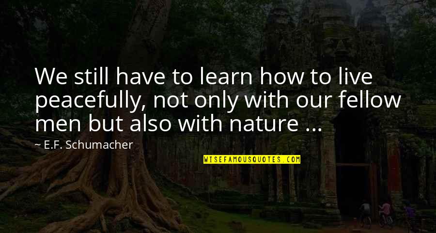 Kipshidze X Quotes By E.F. Schumacher: We still have to learn how to live Kipshidze X Quotes By E.F. Schumacher: We still have to learn how to live