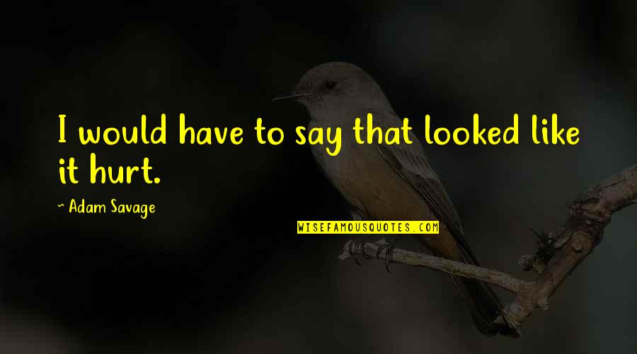 Kirandeep Batth Quotes By Adam Savage: I would have to say that looked like Kirandeep Batth Quotes By Adam Savage: I would have to say that looked like