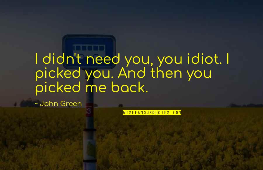 Kirchheim In Hessen Quotes By John Green: I didn't need you, you idiot. I picked
