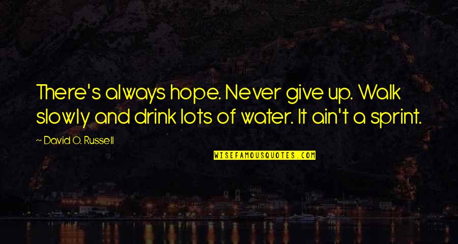 Kirchmeier Family Quotes By David O. Russell: There's always hope. Never give up. Walk slowly