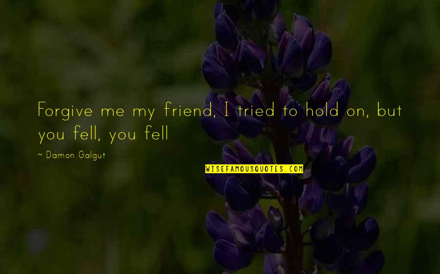Kiriath Arba Quotes By Damon Galgut: Forgive me my friend, I tried to hold