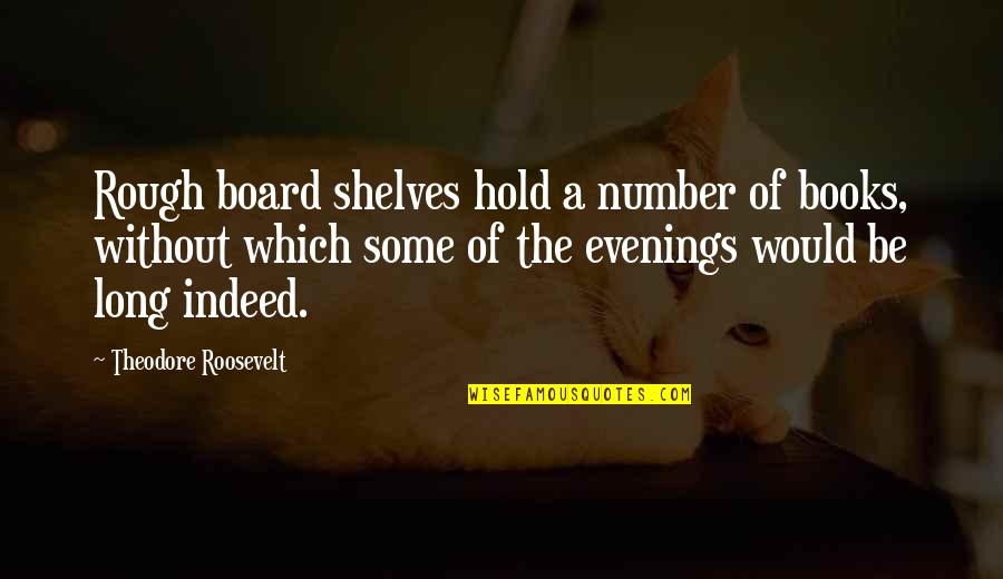 Kiriko Glass Quotes By Theodore Roosevelt: Rough board shelves hold a number of books,
