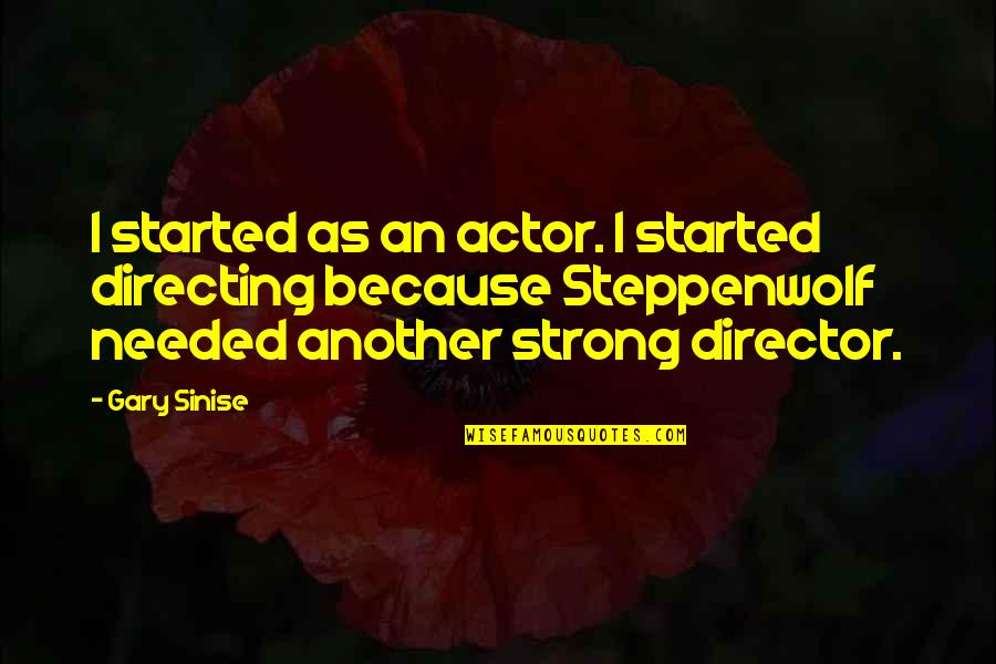 Kirjat Quotes By Gary Sinise: I started as an actor. I started directing