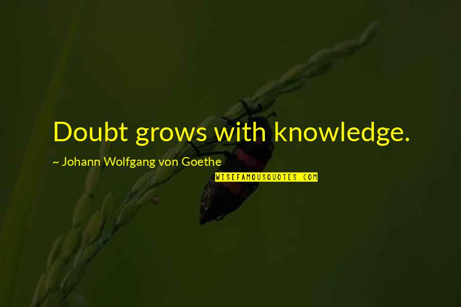 Kirkire Toch Quotes By Johann Wolfgang Von Goethe: Doubt grows with knowledge.