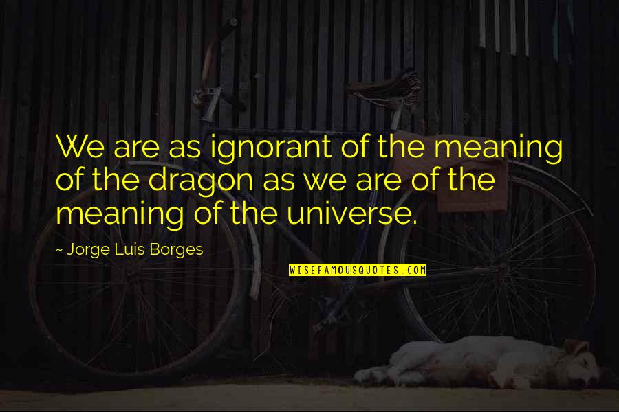 Kirtans Quotes By Jorge Luis Borges: We are as ignorant of the meaning of