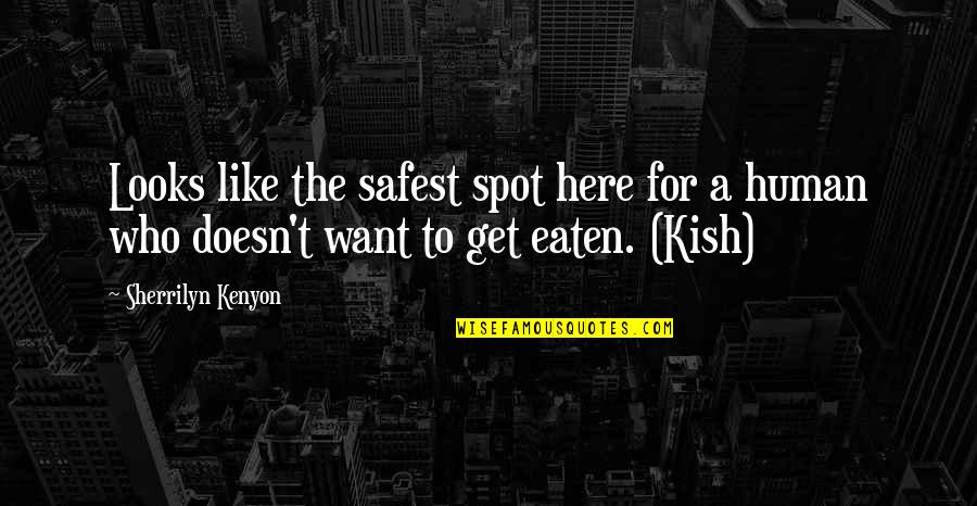 Kish Quotes By Sherrilyn Kenyon: Looks like the safest spot here for a Kish Quotes By Sherrilyn Kenyon: Looks like the safest spot here for a