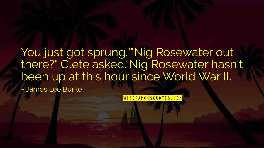 Kishida Wake Quotes By James Lee Burke: You just got sprung.""Nig Rosewater out there?" Clete Kishida Wake Quotes By James Lee Burke: You just got sprung.""Nig Rosewater out there?" Clete