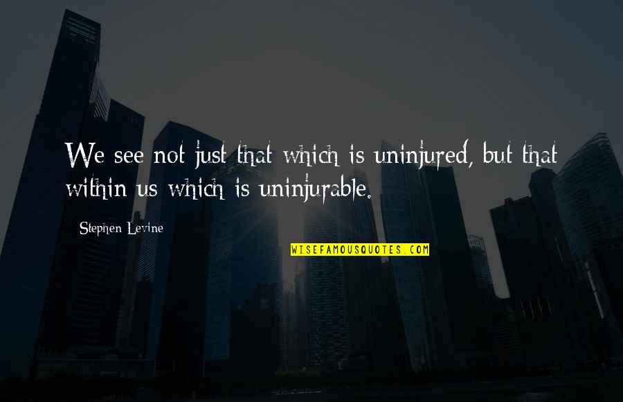 Kiss And Don't Tell Quotes By Stephen Levine: We see not just that which is uninjured,