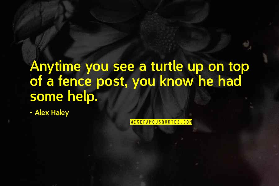 Kiss On The Rain Quotes By Alex Haley: Anytime you see a turtle up on top