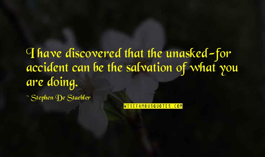 Kissage Quotes By Stephen De Staebler: I have discovered that the unasked-for accident can