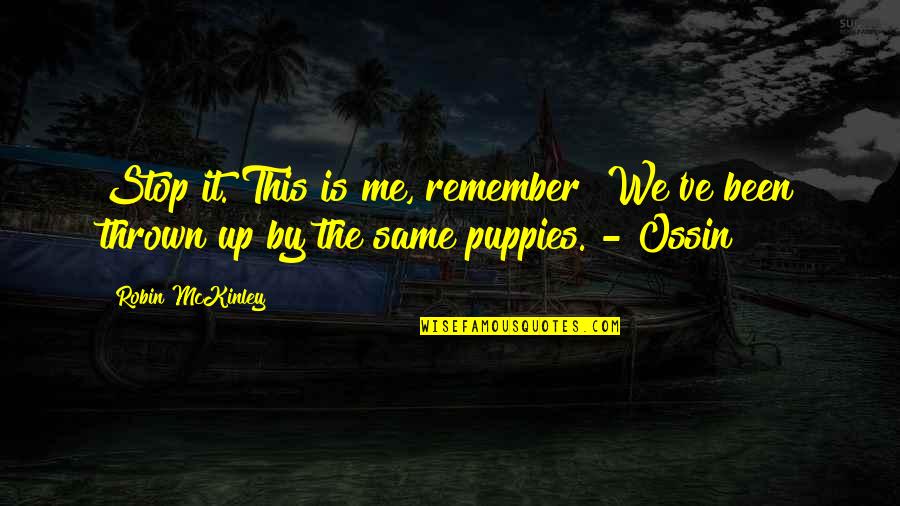 Kissel Car Quotes By Robin McKinley: Stop it. This is me, remember? We've been