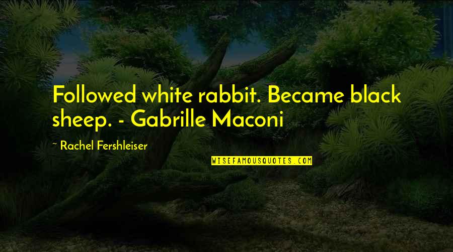 Kisses On The Nose Quotes By Rachel Fershleiser: Followed white rabbit. Became black sheep. - Gabrille