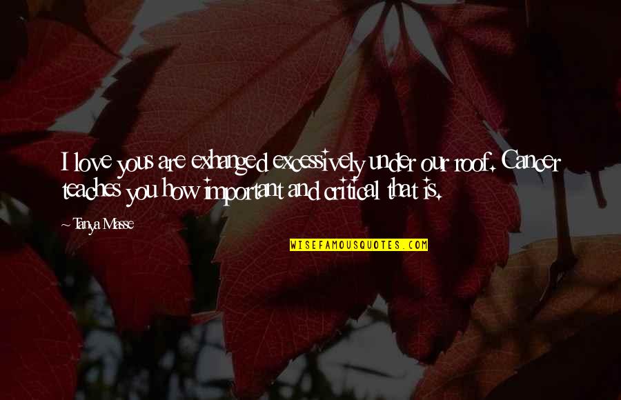Kissey Apna Quotes By Tanya Masse: I love yous are exhanged excessively under our