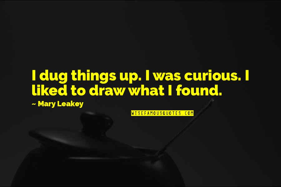 Kitaro Youtube Quotes By Mary Leakey: I dug things up. I was curious. I