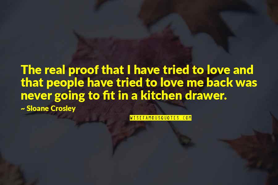 Kitchen And Love Quotes By Sloane Crosley: The real proof that I have tried to