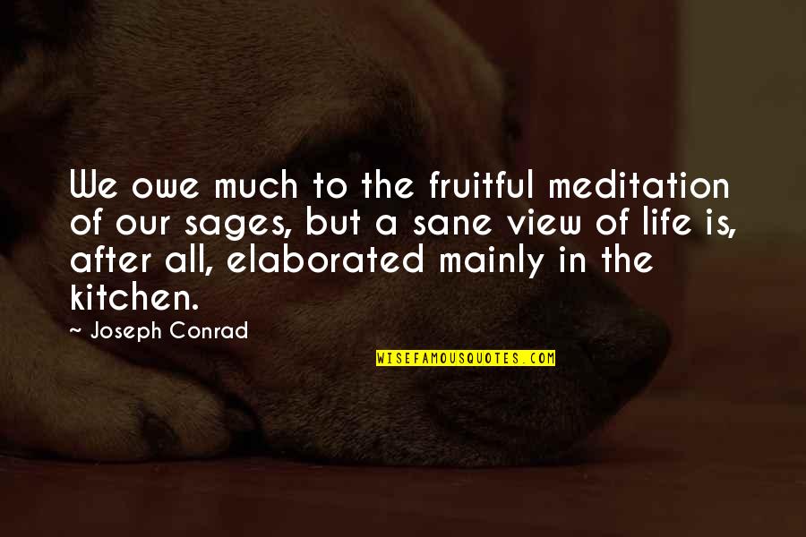 Kitchen Life Quotes By Joseph Conrad: We owe much to the fruitful meditation of