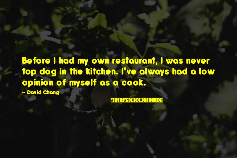 Kitchen Quotes By David Chang: Before I had my own restaurant, I was