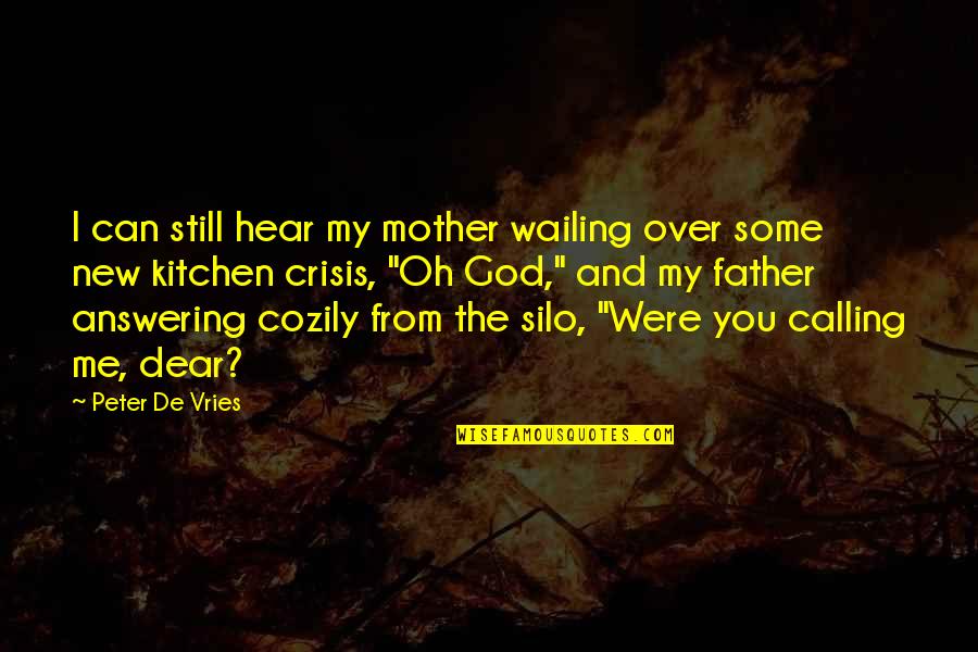 Kitchen The Quotes By Peter De Vries: I can still hear my mother wailing over