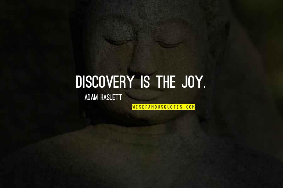 Kitchy Art Quotes By Adam Haslett: Discovery is the joy.