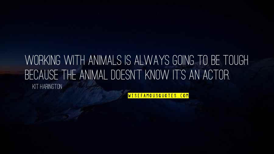 Kit's Quotes By Kit Harington: Working with animals is always going to be