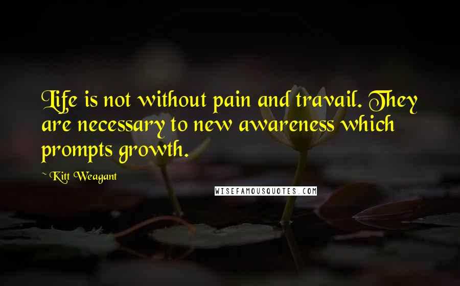 Kitt Weagant quotes: Life is not without pain and travail. They are necessary to new awareness which prompts growth.