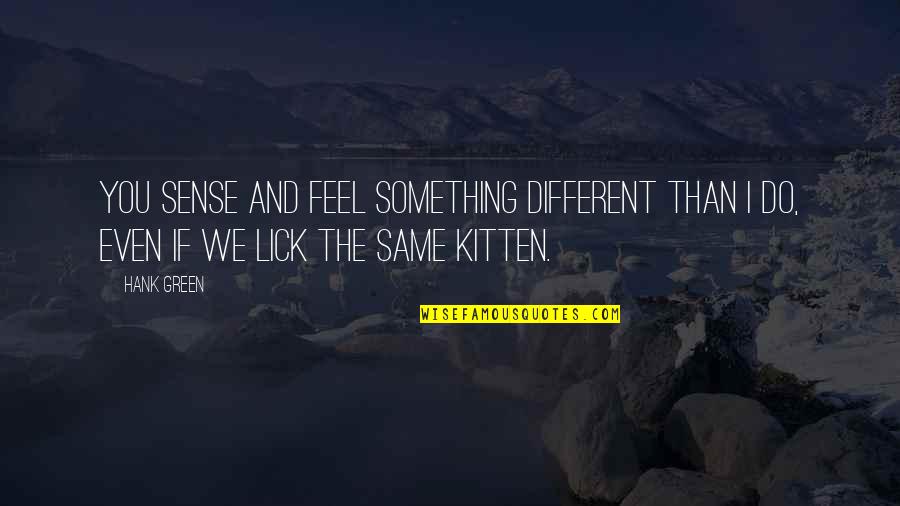 Kitten Quotes By Hank Green: You sense and feel something different than I