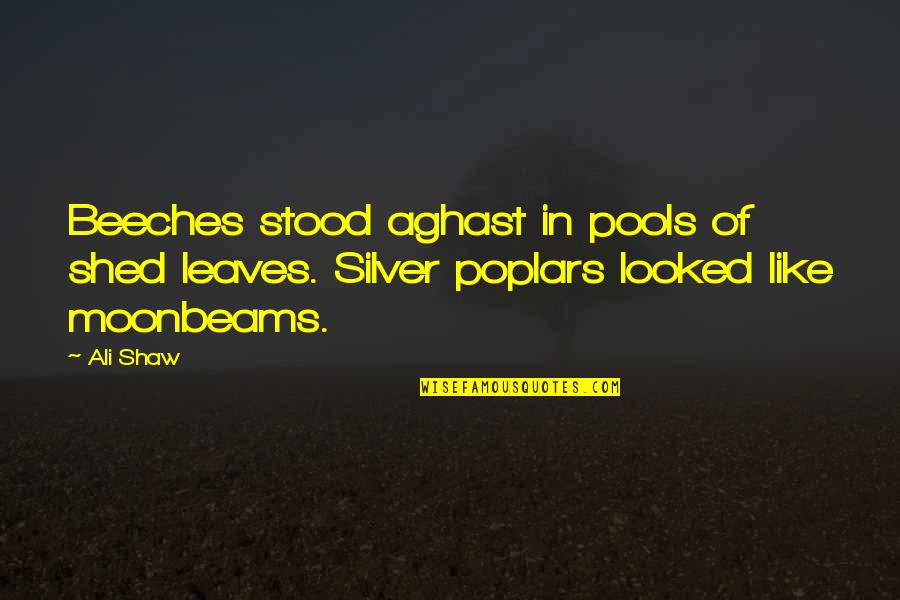Kitten Sayings Quotes By Ali Shaw: Beeches stood aghast in pools of shed leaves.