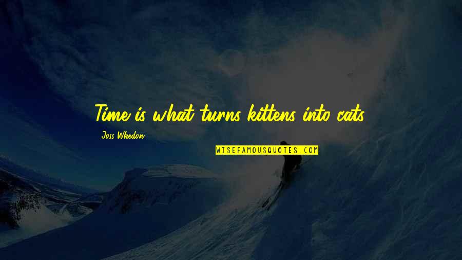 Kittens And Cats Quotes By Joss Whedon: Time is what turns kittens into cats.