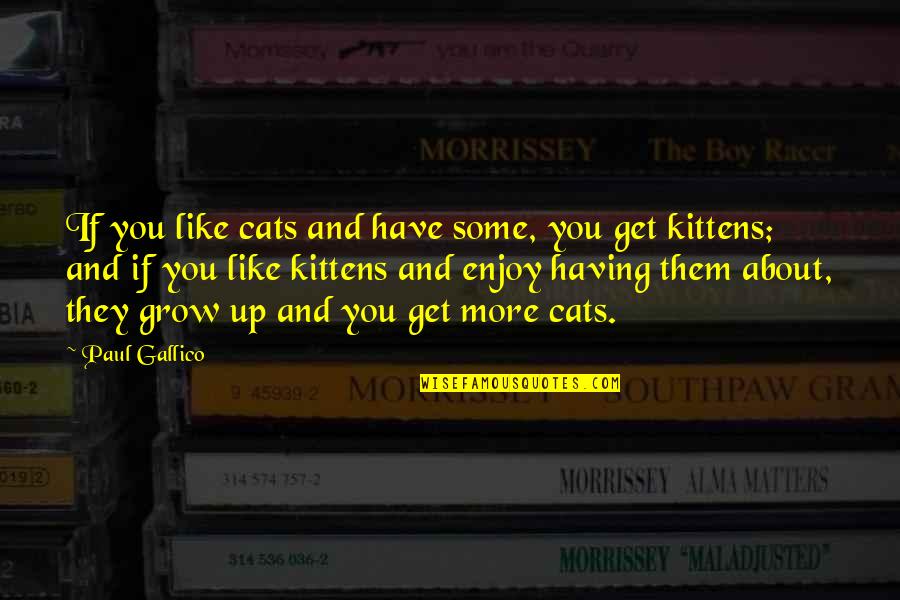 Kittens And Cats Quotes By Paul Gallico: If you like cats and have some, you