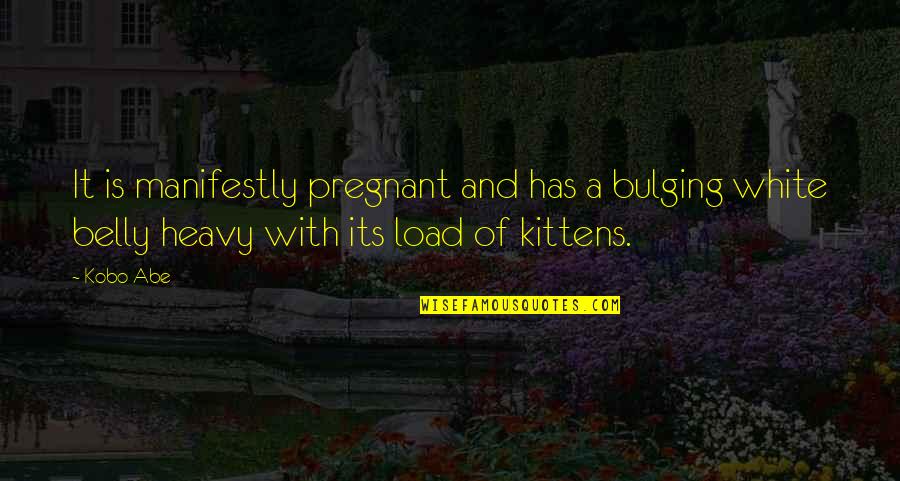 Kittens Quotes By Kobo Abe: It is manifestly pregnant and has a bulging