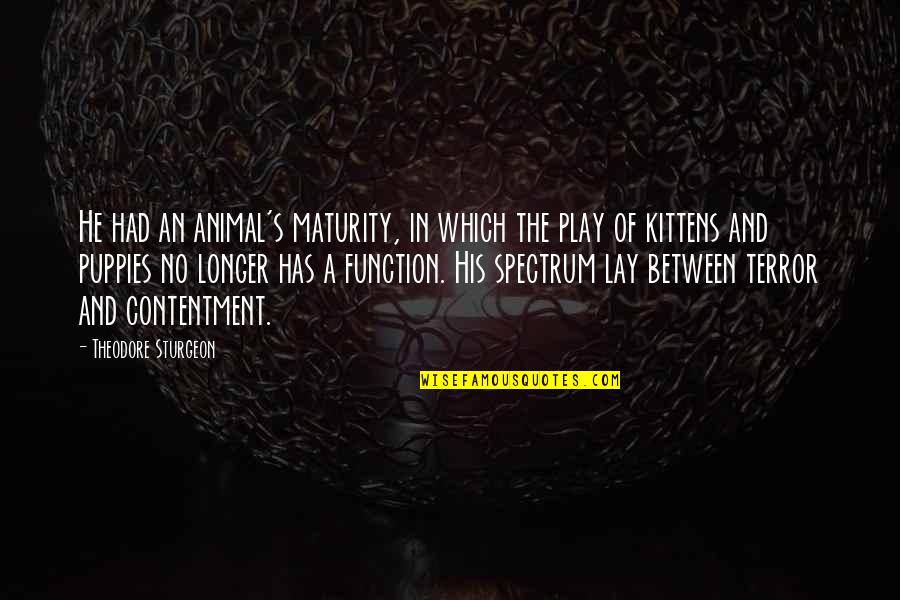 Kittens Quotes By Theodore Sturgeon: He had an animal's maturity, in which the