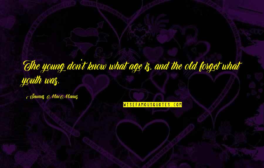 Kittycat Quotes By Seumas MacManus: The young don't know what age is, and Kittycat Quotes By Seumas MacManus: The young don't know what age is, and