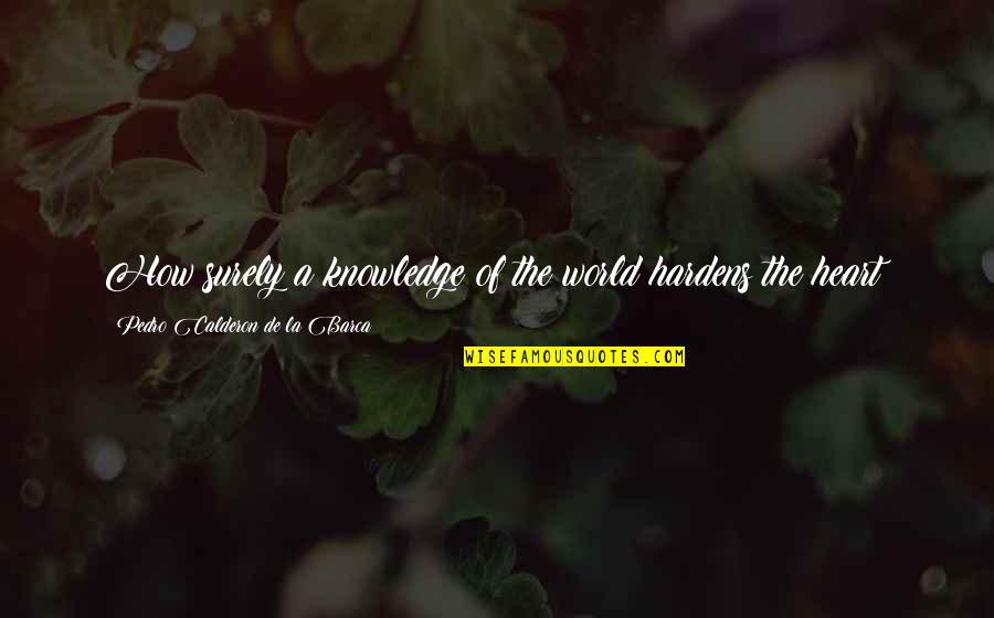 Kivelle Quotes By Pedro Calderon De La Barca: How surely a knowledge of the world hardens