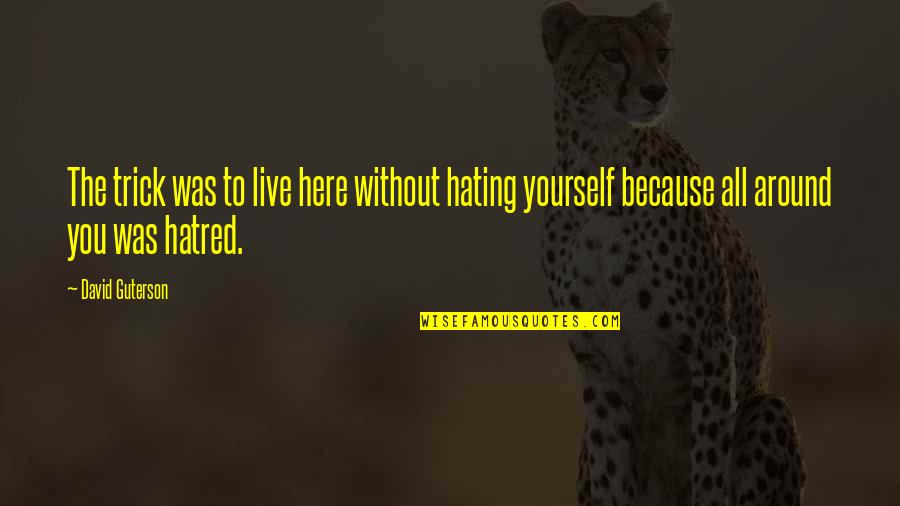 Kiwi Humour Quotes By David Guterson: The trick was to live here without hating Kiwi Humour Quotes By David Guterson: The trick was to live here without hating