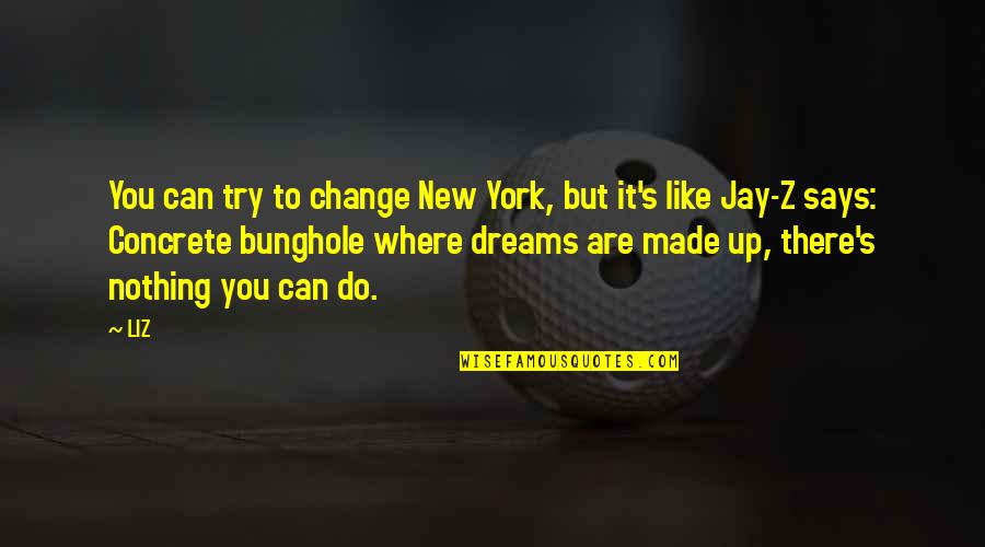 Kjennetegn Quotes By LIZ: You can try to change New York, but