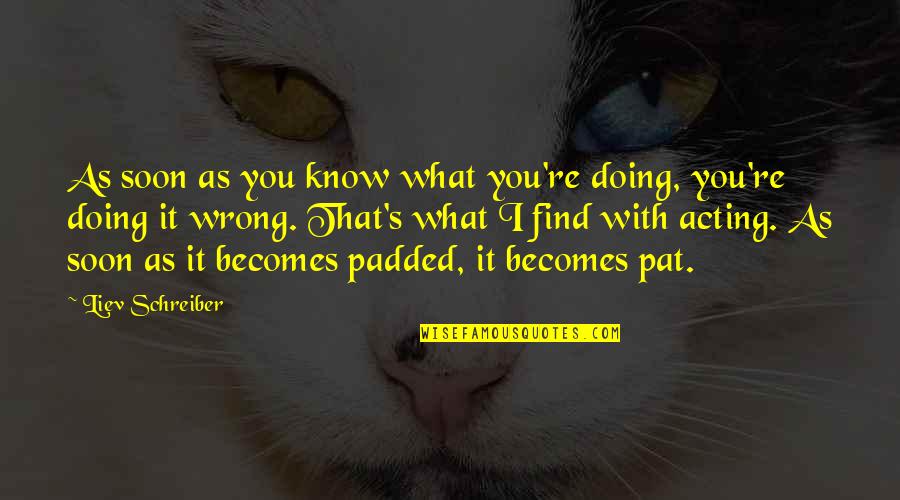 Kktrc Quotes By Liev Schreiber: As soon as you know what you're doing,