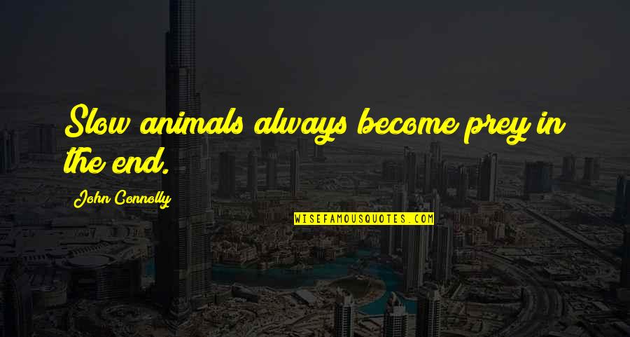Klaas Bruinsma Quotes By John Connolly: Slow animals always become prey in the end. Klaas Bruinsma Quotes By John Connolly: Slow animals always become prey in the end.
