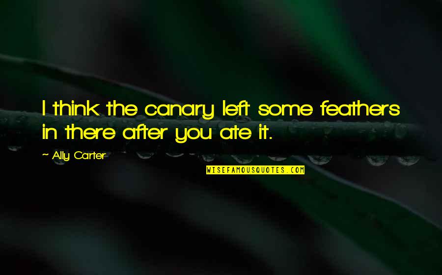 Klarinette Quotes By Ally Carter: I think the canary left some feathers in