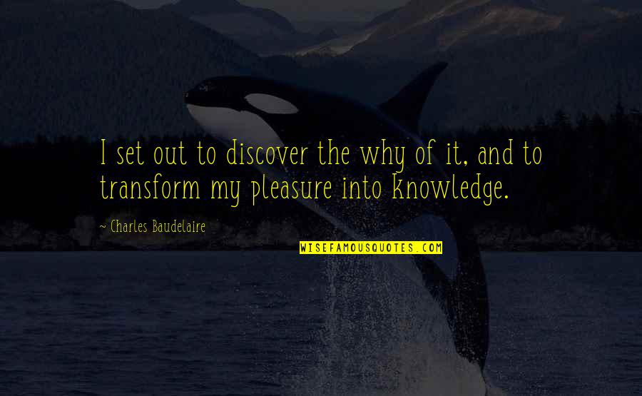 Klarmobil Quotes By Charles Baudelaire: I set out to discover the why of