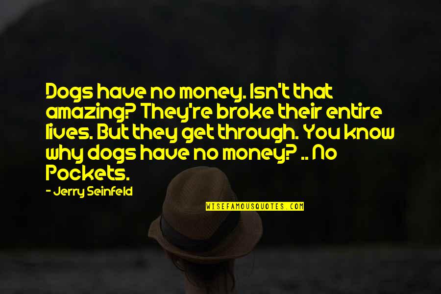 Klasyczna Quotes By Jerry Seinfeld: Dogs have no money. Isn't that amazing? They're