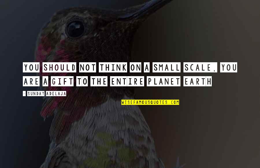 Klaus Hargreaves Quotes By Sunday Adelaja: You should not think on a small scale,