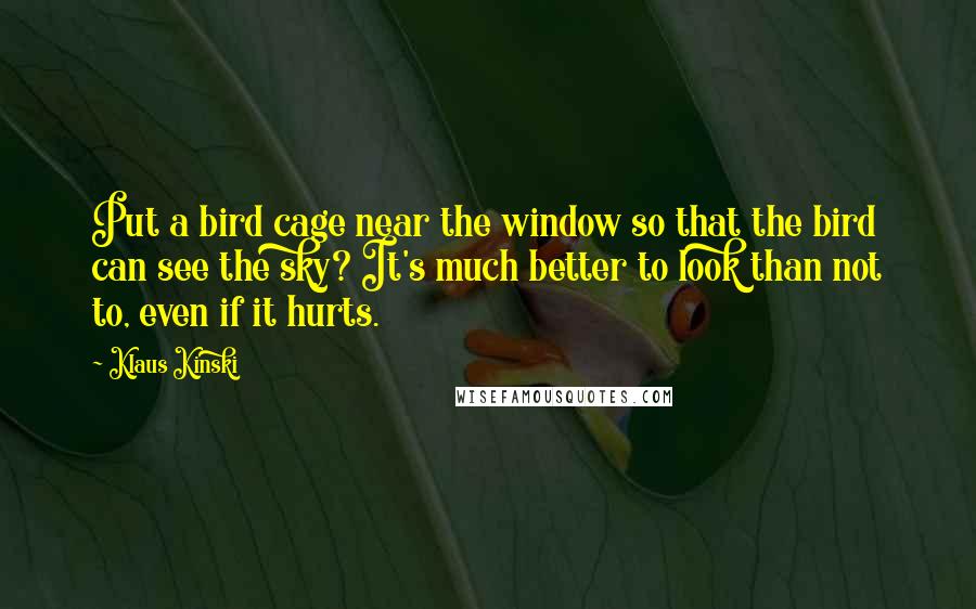 Klaus Kinski quotes: Put a bird cage near the window so that the bird can see the sky? It's much better to look than not to, even if it hurts. Klaus Kinski quotes: Put a bird cage near the window so that the bird can see the sky? It's much better to look than not to, even if it hurts.