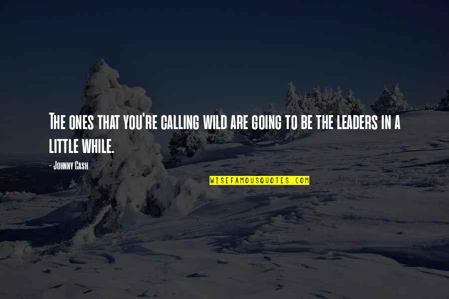 Klaus Timber Quotes By Johnny Cash: The ones that you're calling wild are going