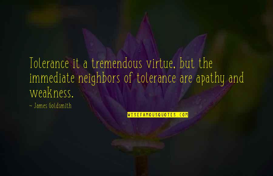 Klaveren Heer Quotes By James Goldsmith: Tolerance it a tremendous virtue, but the immediate