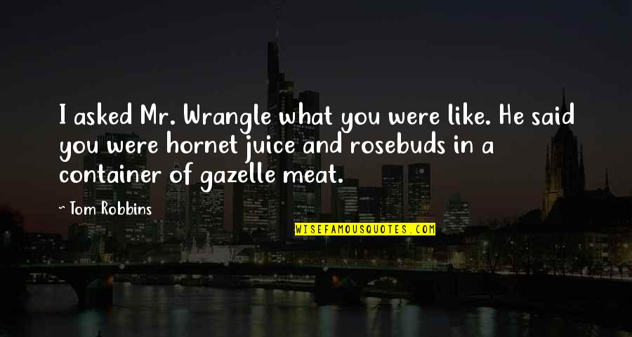 Kleding Quotes By Tom Robbins: I asked Mr. Wrangle what you were like. Kleding Quotes By Tom Robbins: I asked Mr. Wrangle what you were like.