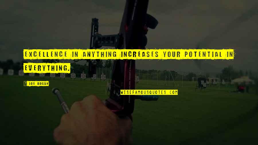 Kleenex Valentine Quotes By Joe Rogan: Excellence in anything increases your potential in everything.