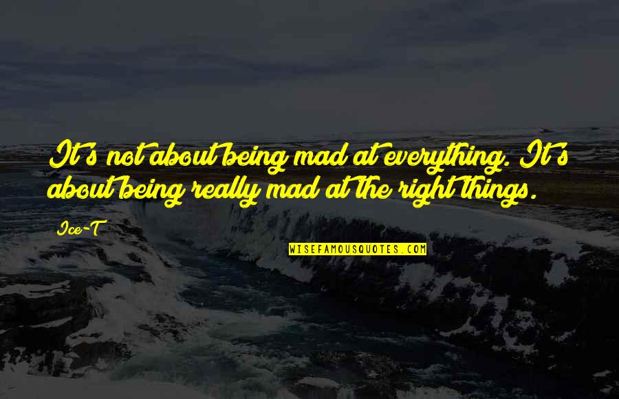 Kleihues Quotes By Ice-T: It's not about being mad at everything. It's