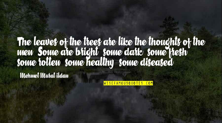 Kleinere Letters Quotes By Mehmet Murat Ildan: The leaves of the trees are like the Kleinere Letters Quotes By Mehmet Murat Ildan: The leaves of the trees are like the