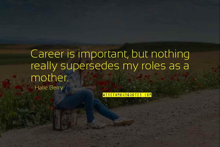 Kleinman Park Quotes By Halle Berry: Career is important, but nothing really supersedes my